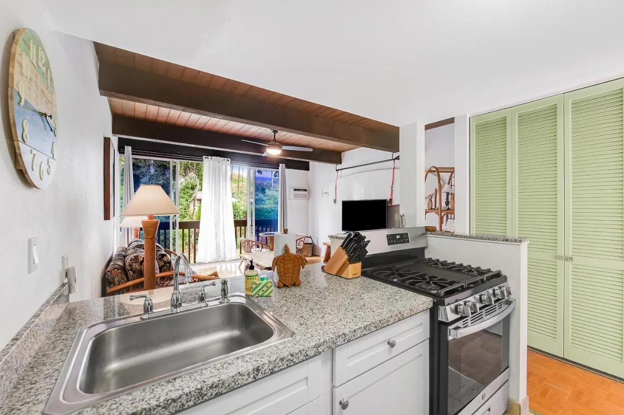 Kona Mansions D-226 Apartment Kailua-Kona
